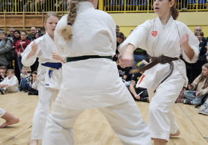 Pokaz karate dzieci w formie walki.