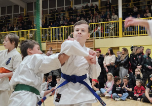 Chłopcy pokazują sztuki walki w karate.