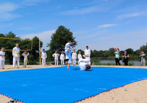 Pokaz karate